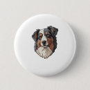 Recherche de chien berger australien badges Dog