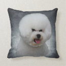 Recherche de bichon décoration coussins Frise