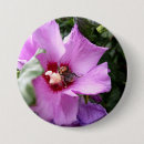 Suche nach hummeln buttons Blume