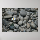 Recherche de célibataire photographie Fleur