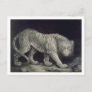 Recherche de vagabondage posters Animaux