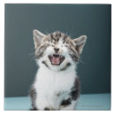 Recherche de vue face carreaux Se reposer