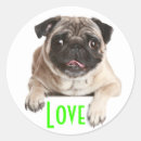 Suche nach liebe mops aufkleber Welpe