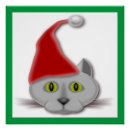 Suche nach weihnachtsmann hut poster Katze
