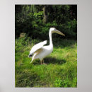 Recherche de nature sauvage posters Famille