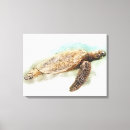 Suche nach schildkröte leinwandbilder Hawaii