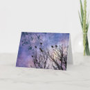 Recherche de plumes photographie Violet