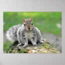 Suche nach sagen sie poster Grau