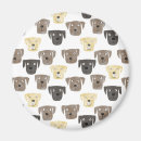 Suche nach hund magnete Niedlich