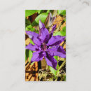 Suche nach clematis visitenkarten Pflanze