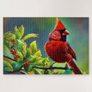 Recherche de cardinal puzzles Cardinal du nord
