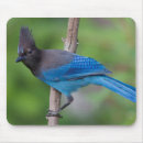 Recherche de steelers tapis souris Oiseau