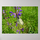 Recherche de papillon noir et blanc posters Pour tous