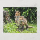 Recherche de rainy posters Nature
