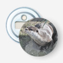 Recherche de loutre ouvre bouteilles Animaux