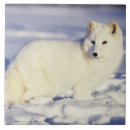 Suche nach fuchs fliesen Alaska