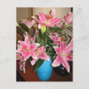 Suche nach rosa lilie postkarten Natur