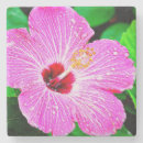 Suche nach tropische blumen untersetzer Rosa