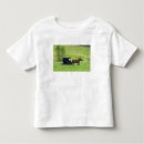 Suche nach pferdekutsche tshirts Amisch