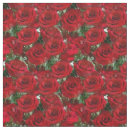 Suche nach hübsche rote rose Romantisch
