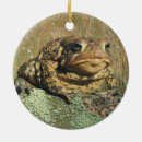 Suche nach kröten ornamente Amphibie