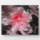 Recherche de lumineux plaques Fleur