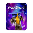 Recherche de galaxie magnets Humour