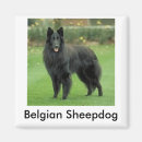 Recherche de berg magnete Dog