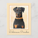 Recherche de pinscher dobermann cartes postales Dobie