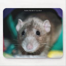 Suche nach nagetier mousepads Ratte