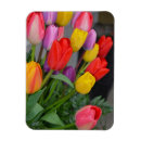 Recherche de ressort magnets Bouquet