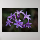 Suche nach blume poster Wand