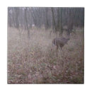 Suche nach wald fliesen Jagd