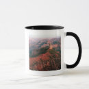 Recherche de solex tasses Nature