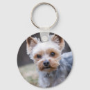 Recherche de terrier yorkshire porteclés Animal