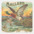 Suche nach stockente aufkleber Jagd