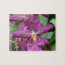 Suche nach orchid puzzle Foto