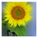 Suche nach sonnenblumen andere poster Grün