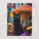 Suche nach bunte katzen postkarten Schwarzkatze
