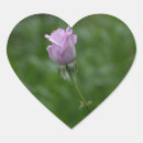 Suche nach lavendel rose aufkleber Liebe