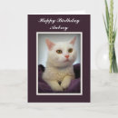 Recherche de blanc chat anniversaire cartes Chatte