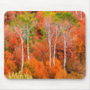 Suche nach jackson mousepads Landschaft
