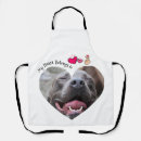 Recherche de pitbulls tabliers Chiot
