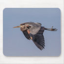 Recherche de héron bleu tapis souris Sauvagine