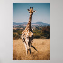 Suche nach umgeben poster Natur