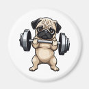 Suche nach fitness magnete Gewichtsanhebung