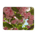 Recherche de floraison magnets Printemps