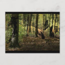 Recherche de esprit forêt cartes postales Fantôme