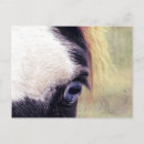Recherche de oeil bleu cartes postales Angle