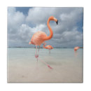 Suche nach flamingo fliesen Tropen